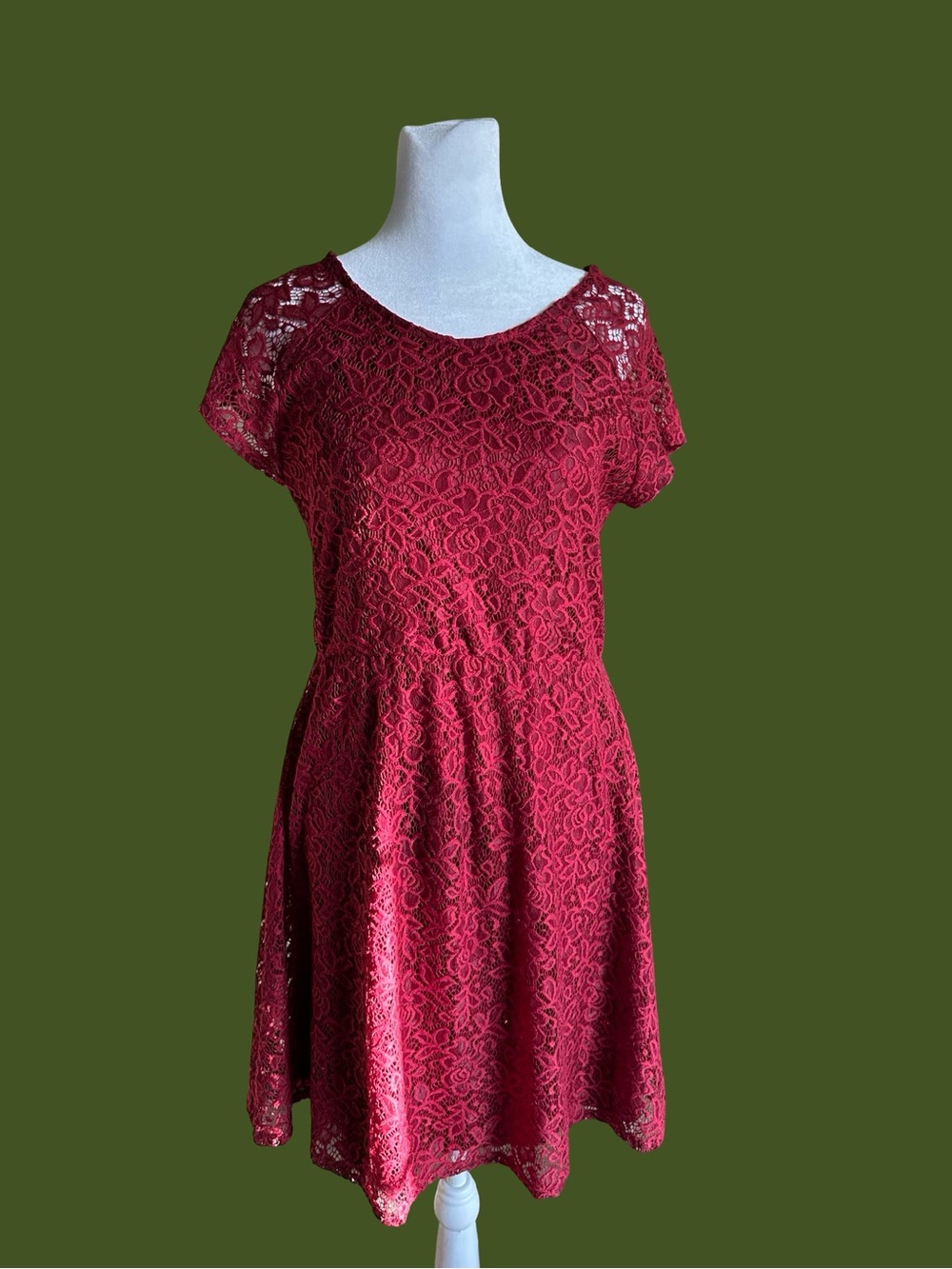 Adam Levine Collection Burgundy Lace Fit & Flare Mini Dress